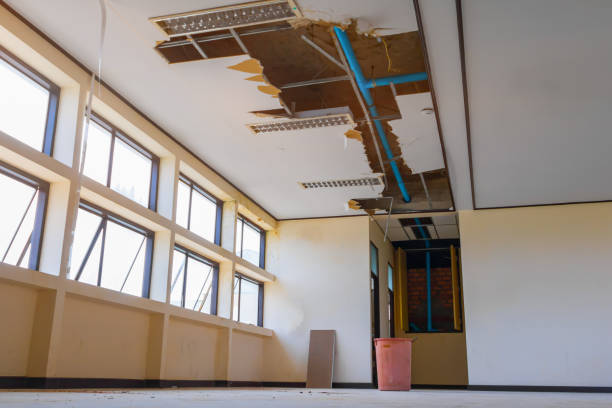  Goulding, FL Water damage restoration Pros