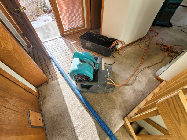 Reliable Goulding, FL Water damage restoration Solutions