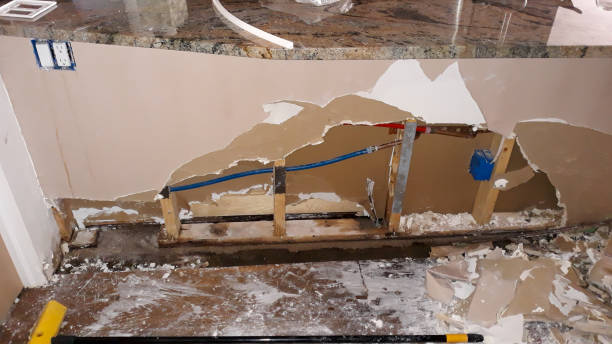 Best Ceiling water damage repair  in Goulding, FL