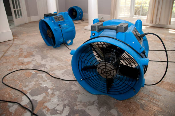 Fire Damage Restoration in Goulding, FL