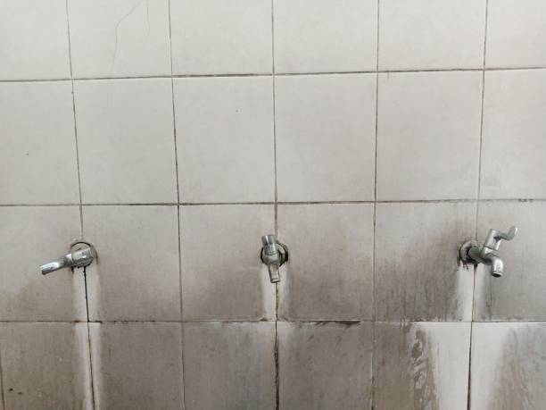 Best Water damage cleanup near me  in Goulding, FL