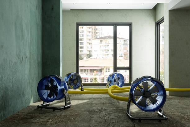 Best Flood restoration services  in Goulding, FL